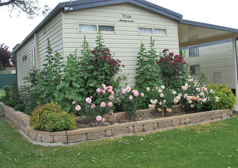 Walcha Caravan Park - Hervey Bay Accommodation 3