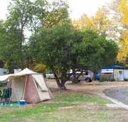 Wedderburn Pioneer Caravan Park - Hervey Bay Accommodation