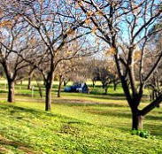 Wellington Caves Caravan Park - Tourism Hervey Bay