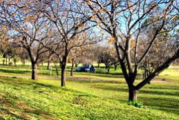 Wellington Caves Caravan Park - Hervey Bay Accommodation 0