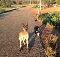 Bindoons Windmill Farm - Hervey Bay Accommodation