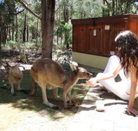 Yelverton Brook Eco Spa Retreat and Conservation Sanctuary - Tourism Hervey Bay