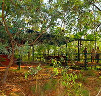 Arnhemland Barramundi Nature Lodge - Hervey Bay Accommodation