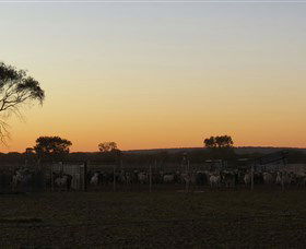 Goodwood Stationstay - Hervey Bay Accommodation 1