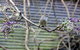 MossGrove Bed And Breakfast - thumb 2