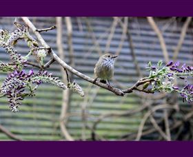 MossGrove Bed And Breakfast - Hervey Bay Accommodation 2