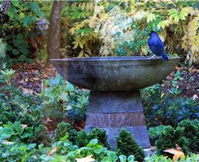 MossGrove Bed And Breakfast - Hervey Bay Accommodation 4