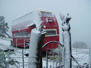 Artisans Park - Tourism Hervey Bay 8