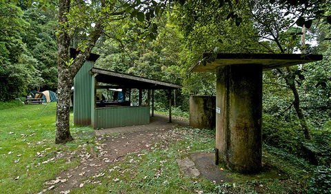 Forest Tops Campground - Hervey Bay Accommodation 1