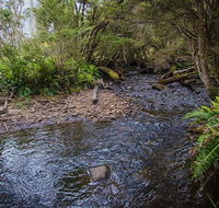 Horse Swamp campground - Hervey Bay Accommodation