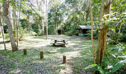 Iron Pot Creek Campground - Hervey Bay Accommodation 0