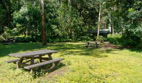 Iron Pot Creek Campground - Hervey Bay Accommodation 1