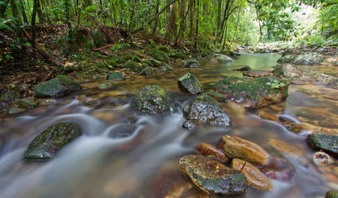 Iron Pot Creek Campground - Hervey Bay Accommodation 2