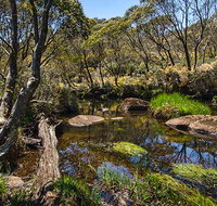 Junction Pools campground - Hervey Bay Accommodation
