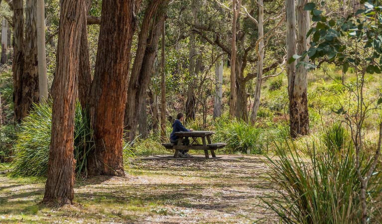 Acacia Creek ACT Tourism Hervey Bay