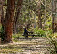 Koreelah Creek campground - Tourism Hervey Bay