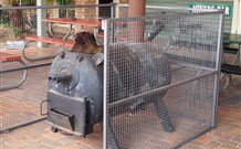 Lightning Ridge Outback Resort And Caravan Park - Hervey Bay Accommodation 7