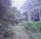 Macas Camping Ground - Hervey Bay Accommodation