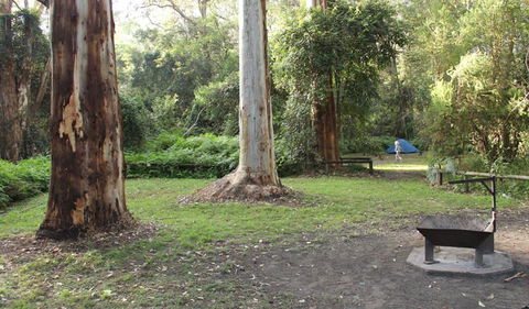 Mill Creek Campground - Hervey Bay Accommodation 2