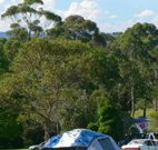 Milton Valley Holiday Park - Hervey Bay Accommodation