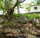 Mt Warning Rainforest Park - Hervey Bay Accommodation