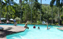 Mt Warning Rainforest Park - Hervey Bay Accommodation 2