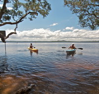 Mungo Brush campground - Hervey Bay Accommodation