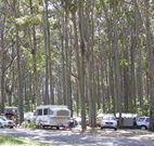 Mystery Bay Camping Area - Hervey Bay Accommodation