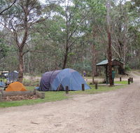 Native Dog campground - Hervey Bay Accommodation