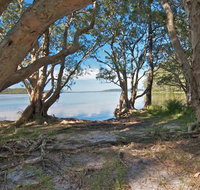 Neranie Campground - Hervey Bay Accommodation