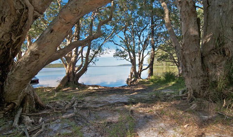 Neranie Campground - Hervey Bay Accommodation 0