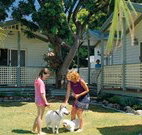Paradise Palms Caravan Park - Hervey Bay Accommodation