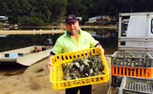 Patonga Camping Area - Hervey Bay Accommodation 2