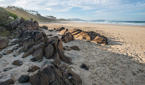 Racecourse Campground - Tourism Hervey Bay 1