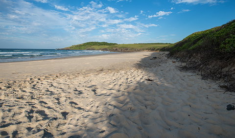 Racecourse Campground - Tourism Hervey Bay 2
