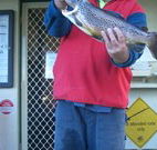 Rainbow Pines Tourist Caravan Park - Tourism Hervey Bay