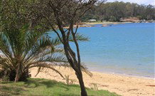 Sapphire Sun Eco Holiday Village - Eden - Hervey Bay Accommodation 0