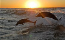 Sapphire Sun Eco Holiday Village - Eden - Hervey Bay Accommodation 3