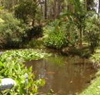 Tallowood Ridge B and B - Hervey Bay Accommodation