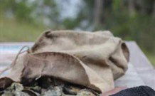 The Escape Luxury Camping - Hervey Bay Accommodation 3