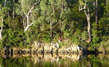 The Escape Luxury Camping - Hervey Bay Accommodation 5