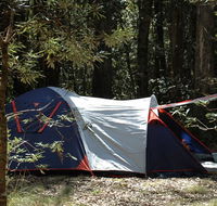 Thungutti campground - Hervey Bay Accommodation