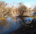 Warrawong on the Darling - Hervey Bay Accommodation