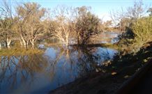 Warrawong On The Darling - Hervey Bay Accommodation 0