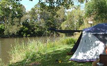 Williams River Holiday Park - Hervey Bay Accommodation 0