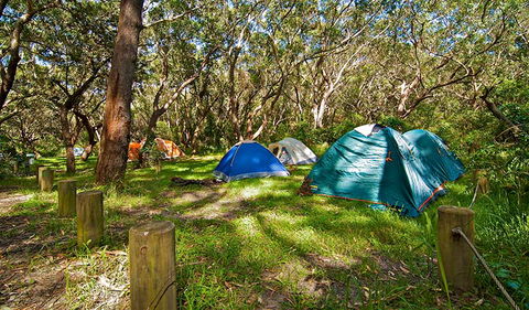 Yagon Campground - Hervey Bay Accommodation 2