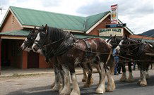 Araluen Valley Hotel - Araluen - Tourism Hervey Bay 0