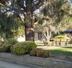 Hamilton Hume Motor Inn - Yass - Hervey Bay Accommodation