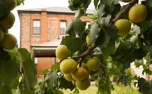 Imperial Fine Accommodation - Broken Hill - Hervey Bay Accommodation 7