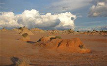 Mungo Lodge Tours And Accommodation - Hervey Bay Accommodation 7